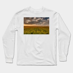 Sunflower Sunset Clouds Long Sleeve T-Shirt